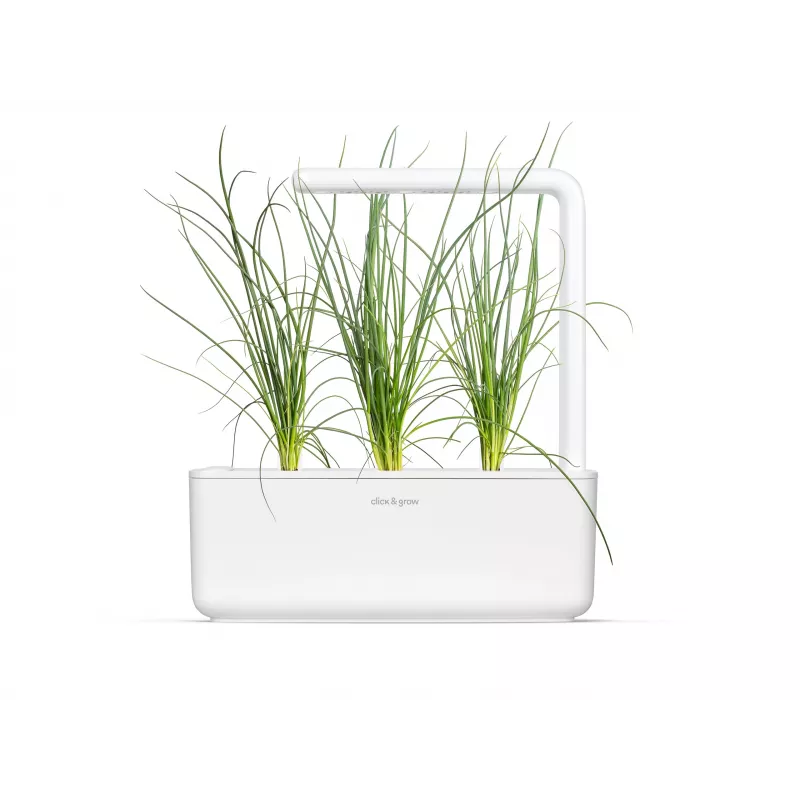 Click & Grow Smart Garden náhradné balenie, 3 kapsuly s rastlinami (SGR105X3)