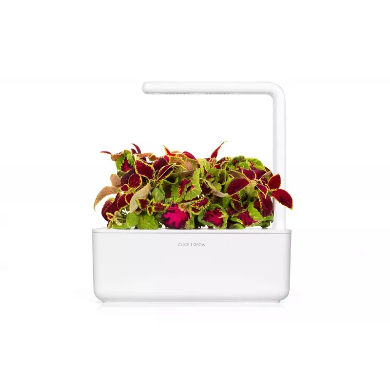 Click & Grow Smart Garden náhradné balenie, 3 kapsuly s rastlinami (SGR2X3)