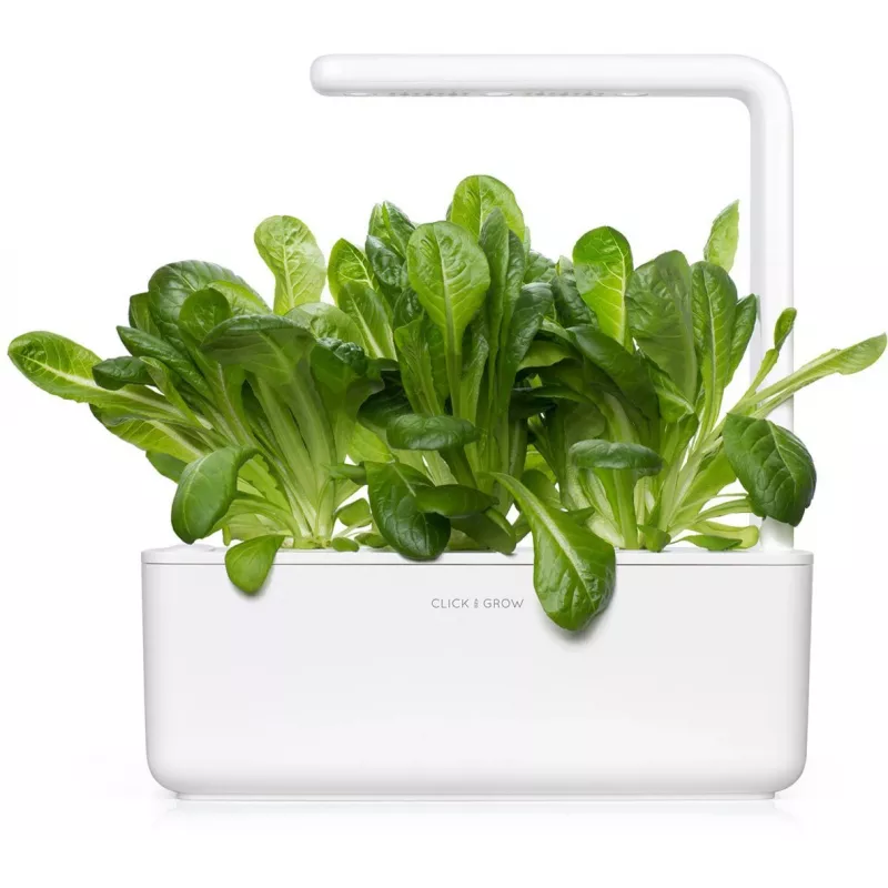 Click & Grow SGR50X3 šalát rastlinné kapsuly náhradná náplň (balenie 3 ks)