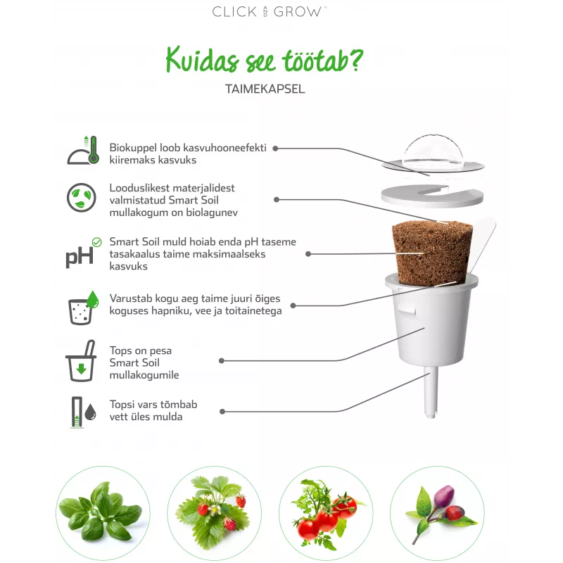 Click & Grow SGR50X3 šalát rastlinné kapsuly náhradná náplň (balenie 3 ks)