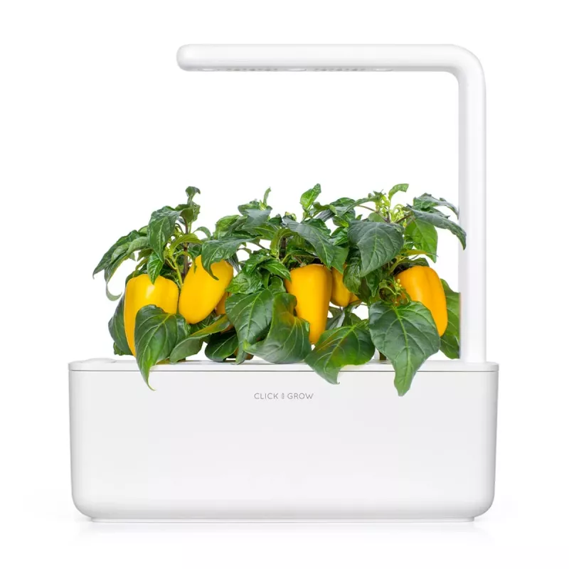 Click & Grow Smart Garden náhradné balenie: žltá paprika, 3 kapsuly s rastlinami (SGR53X3)