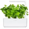 Click & Grow rastlinné kapsuly zelerová vňať pre Smart Garden, balenie 3 ks (SGR97X3)