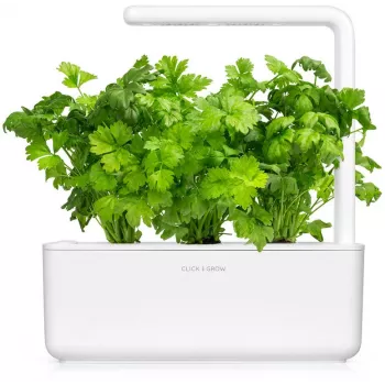 Click & Grow rastlinné kapsuly zelerová vňať pre Smart Garden, balenie 3 ks (SGR97X3)
