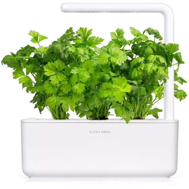 Click & Grow rastlinné kapsuly zelerová vňať pre Smart Garden, balenie 3 ks (SGR97X3)