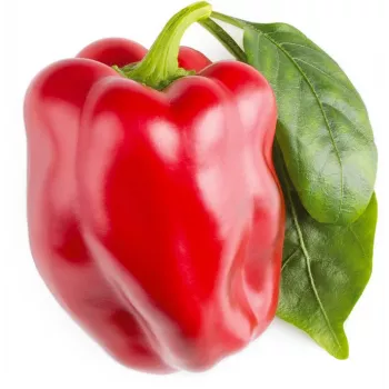 Click & Grow SGR63X3 Smart Garden 3 rastlinné kapsuly náhradná náplň (3 kapsuly, biologicky rozložiteľné, predpestované, Smart Soil)