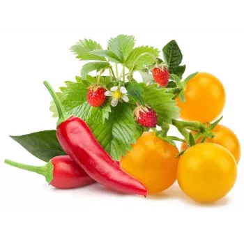 Click & Grow ovocno-zeleninový mix pestovateľské kapsuly pre Smart Garden, balenie 9 ks (PPMFVX9)