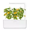 Click and Grow Smart Garden náhradná sada 3 ks kapsuly s mini paradajkami