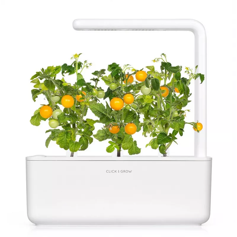 Click and Grow Smart Garden náhradná sada 3 ks kapsuly s mini paradajkami