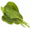 Click & Grow Smart Garden náhradné balenie: zelený mangold, 3 kapsuly s rastlinami (SGR64X3)