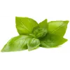 Click & Grow citrónová bazalka rastlinné kapsuly pre Smart Garden, 3 balenie (SGR76X3)