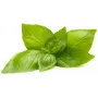 Click & Grow citrónová bazalka rastlinné kapsuly pre Smart Garden, 3 balenie (SGR76X3)