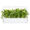 Click & Grow citrónová bazalka rastlinné kapsuly pre Smart Garden, 3 balenie (SGR76X3)