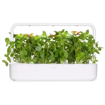 Click & Grow citrónová bazalka rastlinné kapsuly pre Smart Garden, 3 balenie (SGR76X3)