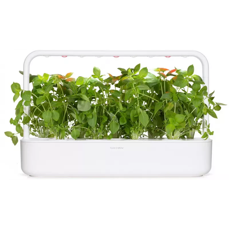 Click & Grow citrónová bazalka rastlinné kapsuly pre Smart Garden, 3 balenie (SGR76X3)