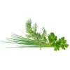 Click & Grow Plant Pod Classic Garnish Mix, 9 ks (PPMCGX9)