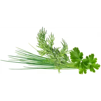 Click & Grow Plant Pod Classic Garnish Mix, 9 ks (PPMCGX9)