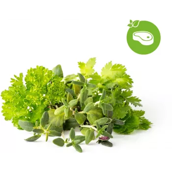 Click & Grow Steak bylinková zmes rastlinné kapsuly pre Smart Garden, 9 balenie (PPMSSX9)