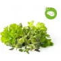 Click & Grow Steak bylinková zmes rastlinné kapsuly pre Smart Garden, 9 balenie (PPMSSX9)