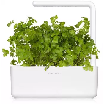 Click & Grow SGR68x3 petržlenové rastlinné kapsuly (balenie 3 ks)