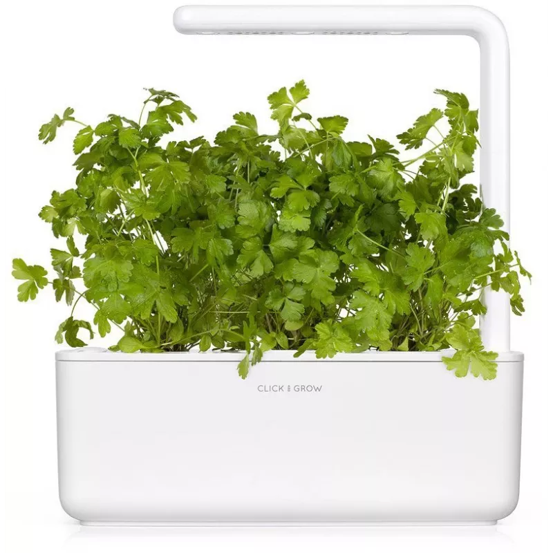 Click & Grow SGR68x3 petržlenové rastlinné kapsuly (balenie 3 ks)