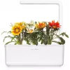 Click & Grow Gazania rastlinné kapsuly pre Smart Garden, balenie 3 ks (SGR92X3)