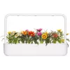 Click & Grow Gazania rastlinné kapsuly pre Smart Garden, balenie 3 ks (SGR92X3)