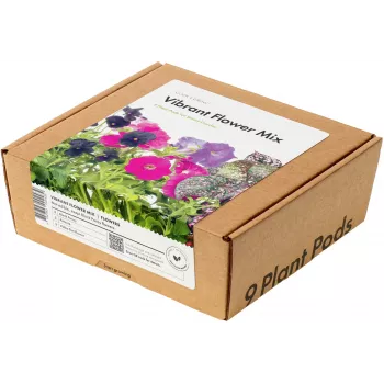 Click & Grow Vibrant Flower Mix kapsuly rastlín pre Smart Garden, balenie 9 ks (PPMVBX9)