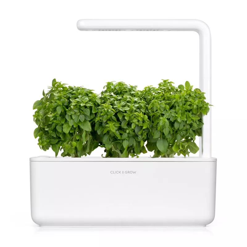 Click & Grow Smart Garden náhradné balenie: trpasličia bazalka, 3 kapsuly s rastlinami (SGR21X3)