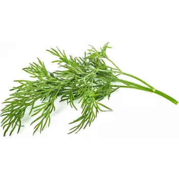 Click & Grow SGR49x3 kapsuly rastlín kôpor náhradná náplň balenie 3 ks