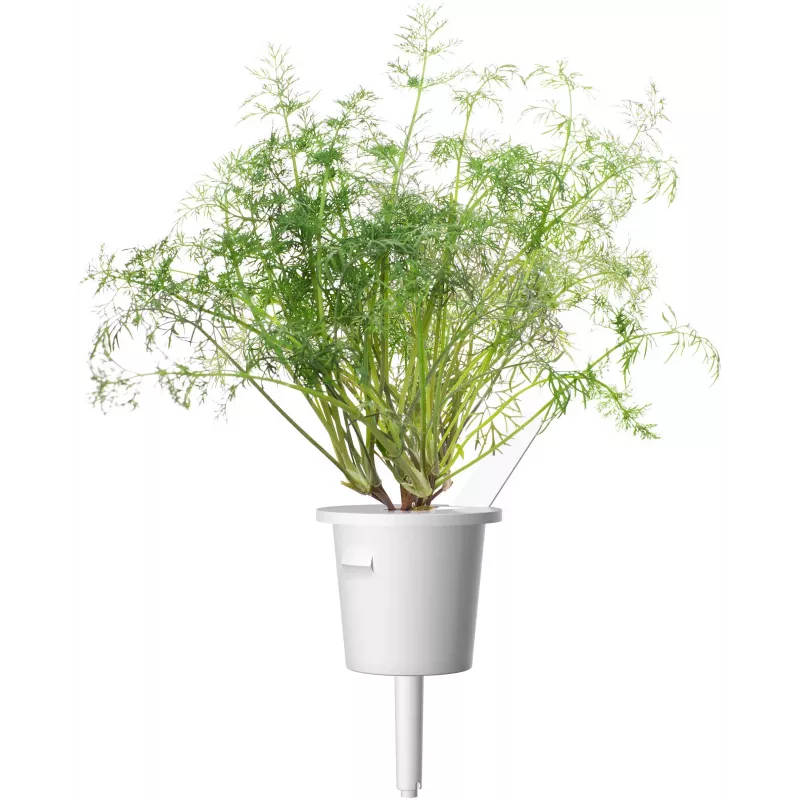 Click & Grow SGR49x3 kapsuly rastlín kôpor náhradná náplň balenie 3 ks
