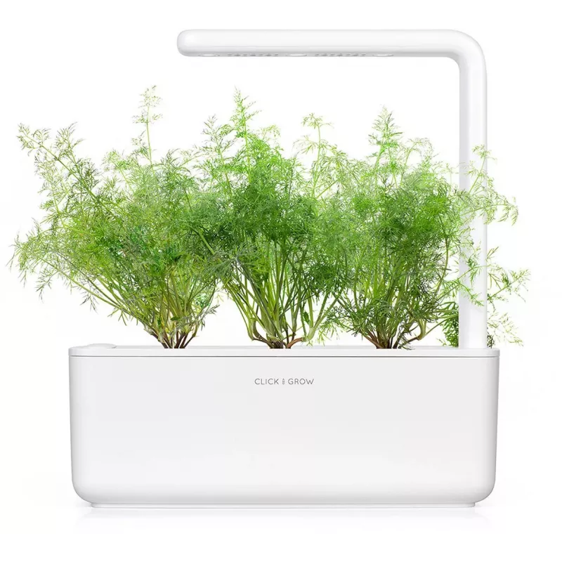 Click & Grow SGR49x3 kapsuly rastlín kôpor náhradná náplň balenie 3 ks