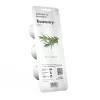Click & Grow Smart Garden náhradné balenie: rozmarín, 3 kapsuly s rastlinami (SGR51X3)