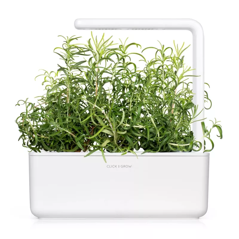 Click & Grow Smart Garden náhradné balenie: rozmarín, 3 kapsuly s rastlinami (SGR51X3)