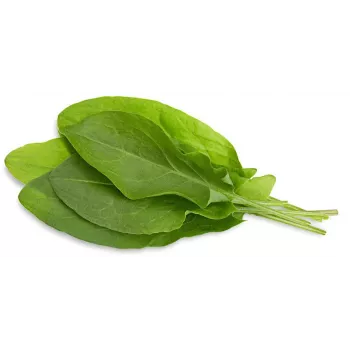 Click & Grow kapsuly rastlín štiav pre Smart Garden, balenie 3 ks (SGR55X3)