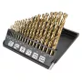 NEO TOOLS 19-dielna sada kovových vrtákov HSS-TiN 1,0-10,0 mm