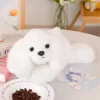 LEAN TOYS Plyšový maltézsky psík s vyváženými labkami biely 30 cm
