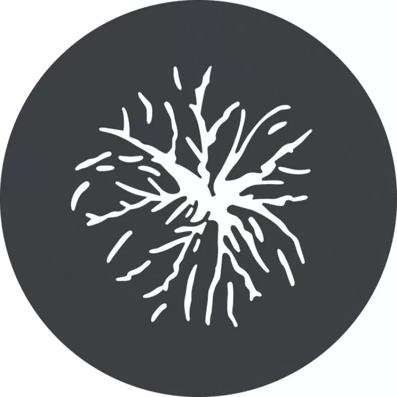 Godox GP GS2 sada gobos pre projekčný nástavec GP (6 vzorov)