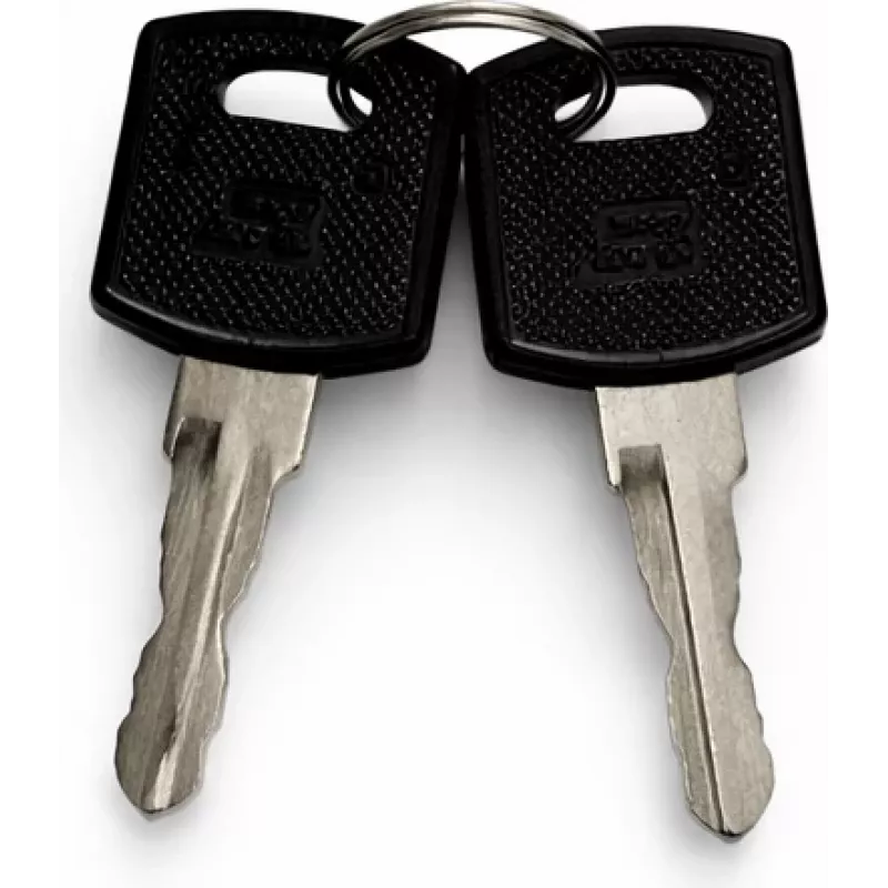 DSIT sada náhradných kľúčov pre vonkajšie dvere serverových skríň (9U-22U) - 2 kľúče, DS-KEY-OUT-M