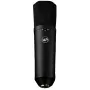 Warm Audio WA-87 R2 BL veľkomembránový kondenzátorový mikrofón - nikel