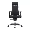 LiberNovo Omni Pro 48 cm ergonomická stolička (grafit)