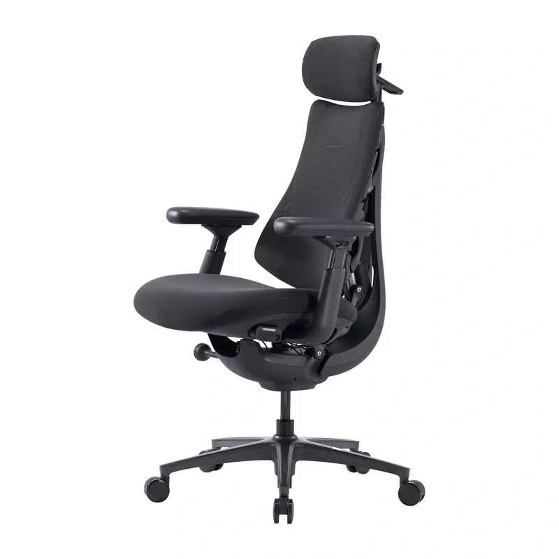 LiberNovo Omni Pro 48 cm ergonomická stolička (grafit)