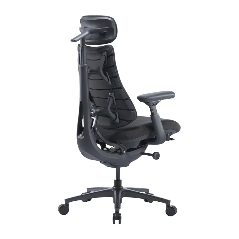 LiberNovo Omni Pro 48 cm ergonomická stolička (grafit)