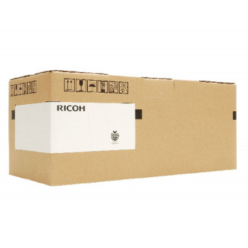 Ricoh D0093086 - 1 ks