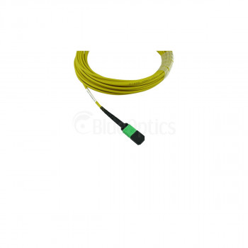 BlueOptics Ubiquiti UACC-OFC-SA-MPMP-2M MPO-MPO singlemode OS2 patch kábel 2 metre