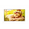 LG 50UL5Q-M - 50 palcov Standard Mid UHD displej - 127 cm - 50