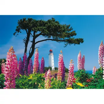 Schmidt Spiele Dornbusch Leuchtturm, Hiddensee 1000-dielne puzzle