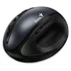 Genius Ergo 8300S bezdrôtová myš, 1600 DPI, čierna/sivá