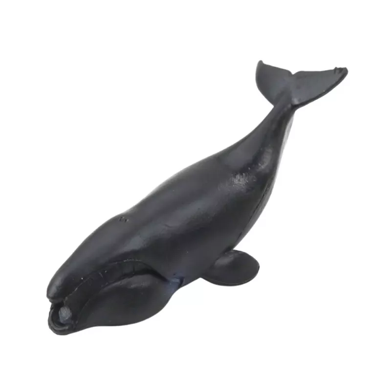 LEAN TOYS Mini sada figúrok morské živočíchy cicavce orca foto delfín 6-8cm 6ks