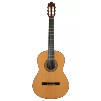 Prodipe Guitars Soloist 900 4/4 - klasická gitara