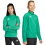 Detské tréningové tričko adidas Entrada 26 zelené JZ6632 140cm